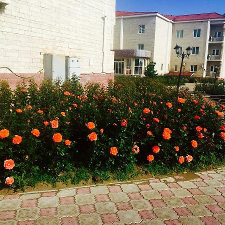 Hotel Ark Ms Тараз Екстериор снимка
